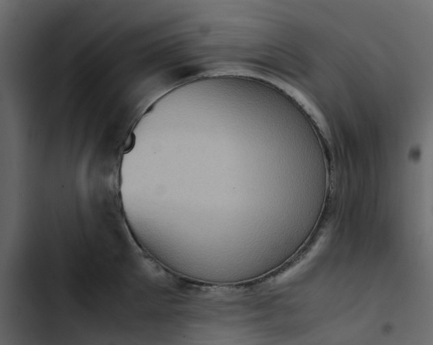 X0000102860905200809021421