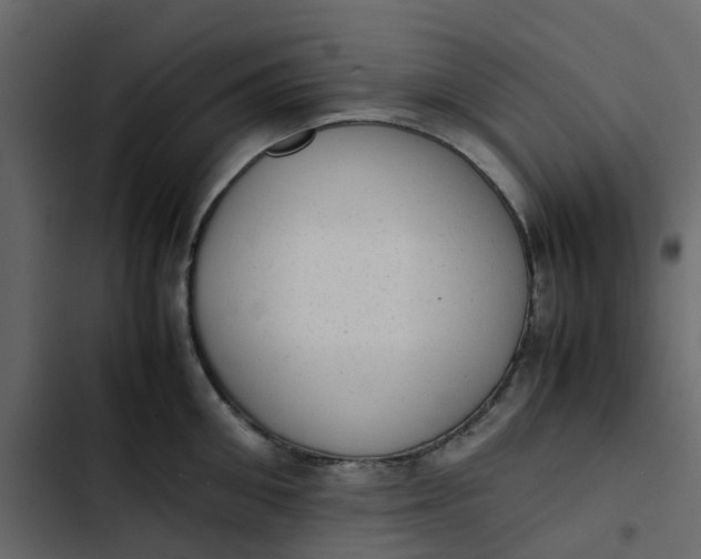 X0000102860906200809021421