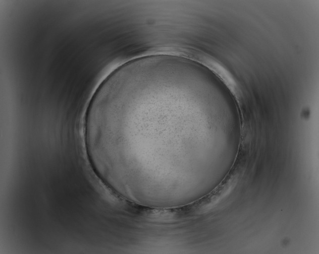 X0000102860907200809021421