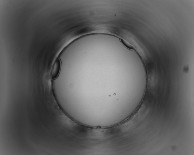 X0000102860908200809021421