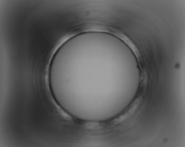 X0000102860909200809021421