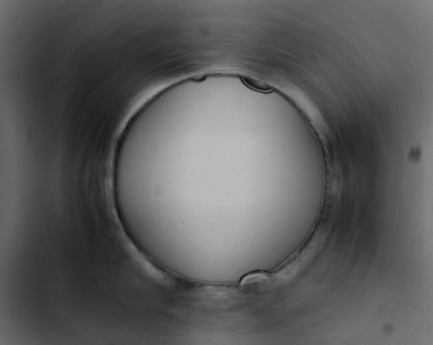 X0000102860910200809021421