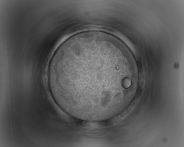 X0000102860911200809021421