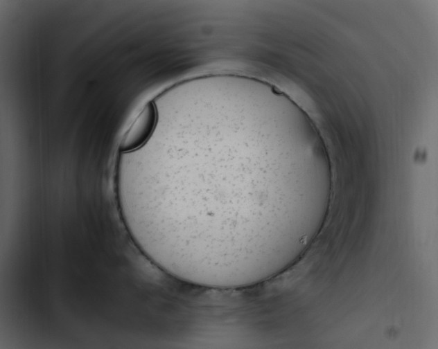 X0000102860912200809021421