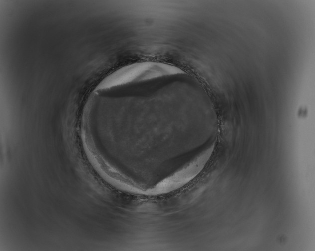 X0000102860913200809021421