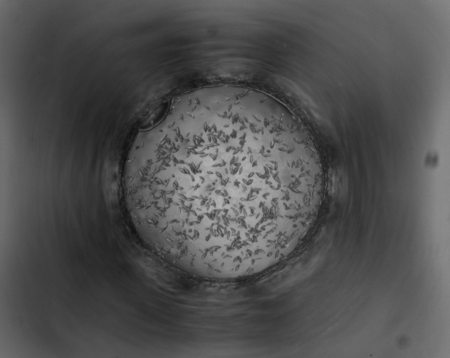 X0000102860915200809021421