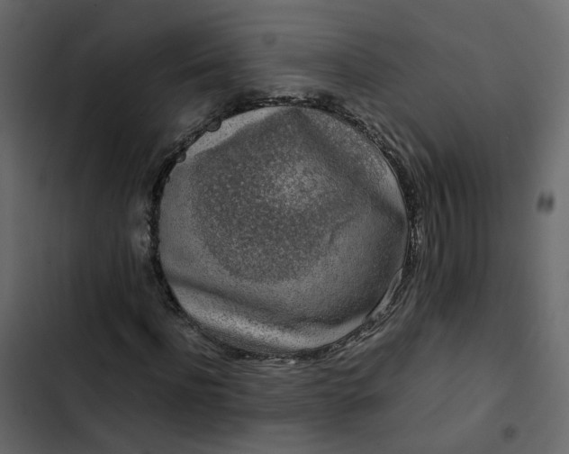 X0000102860916200809021421