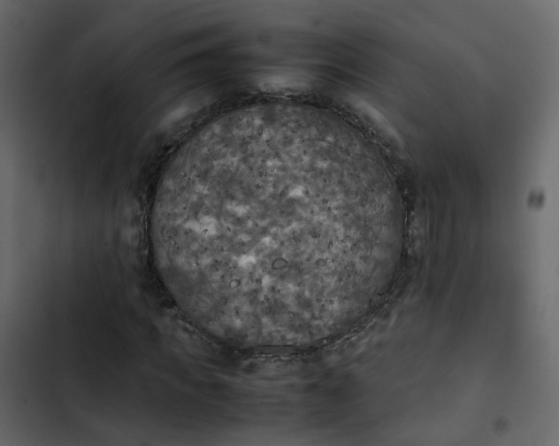 X0000102860917200809021421