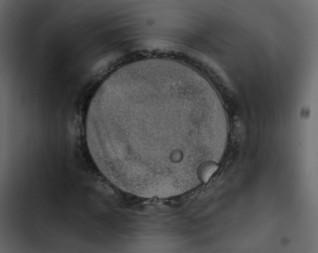 X0000102860918200809021421