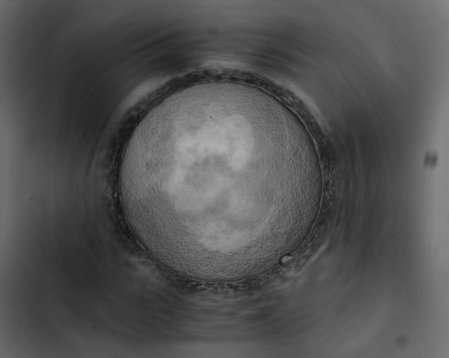 X0000102860919200809021421