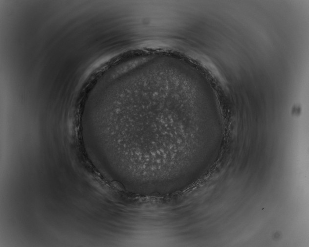 X0000102860920200809021421