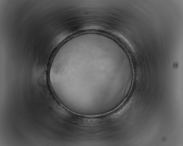 X0000102860921200809021421