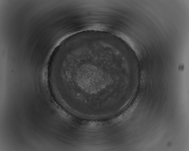 X0000102860923200809021421