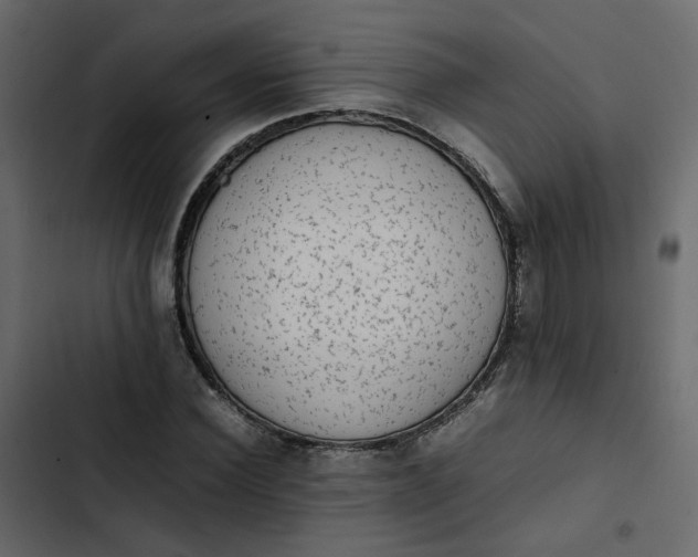 X0000102860924200809021421