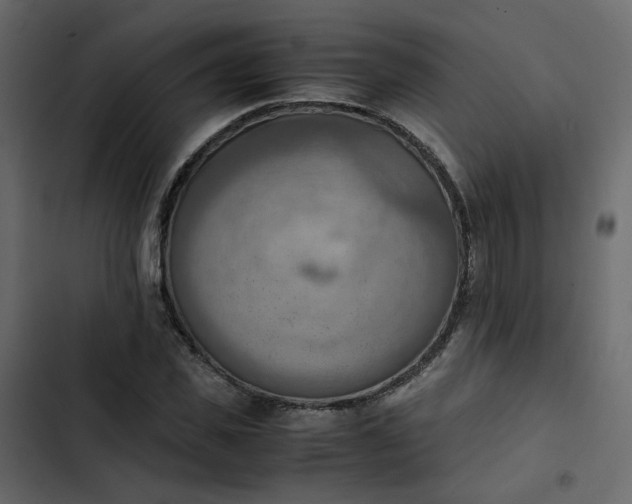 X0000102860925200809021421