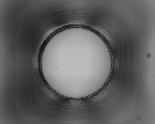 X0000102860927200809021421