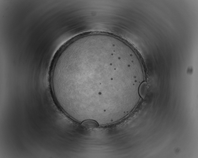 X0000102860928200809021421