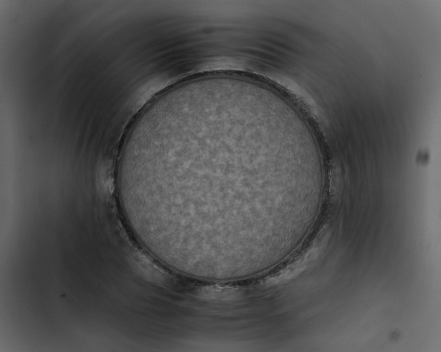 X0000102860929200809021421