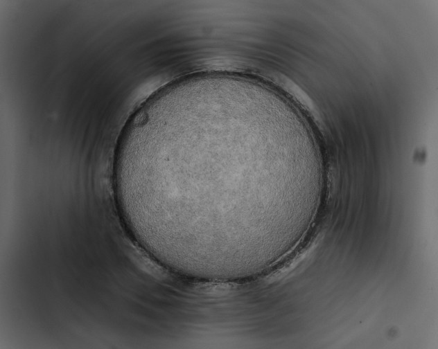 X0000102860930200809021421