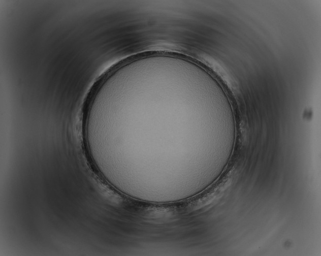 X0000102860931200809021421