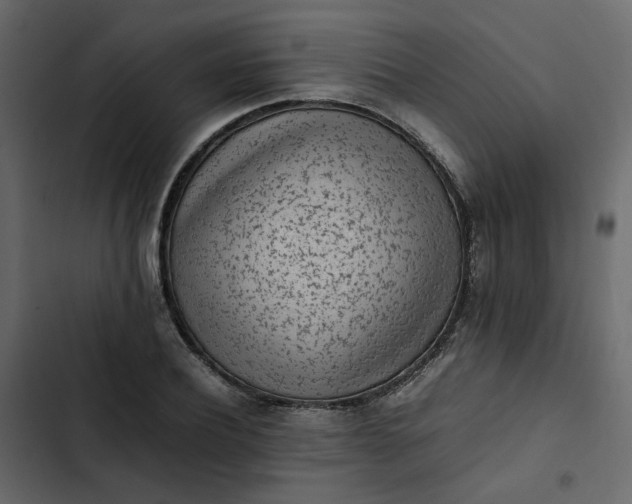 X0000102860932200809021421