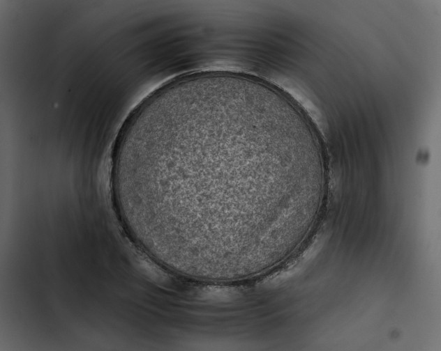 X0000102860933200809021421