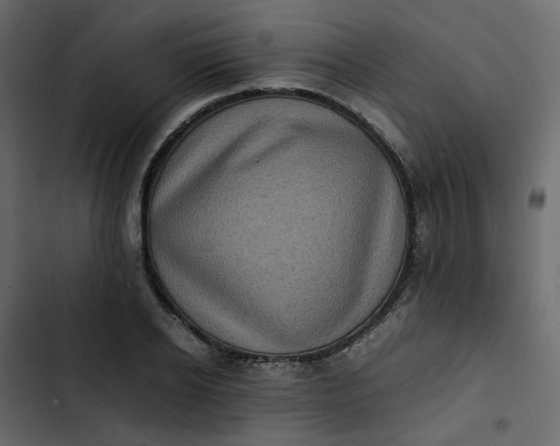 X0000102860934200809021421