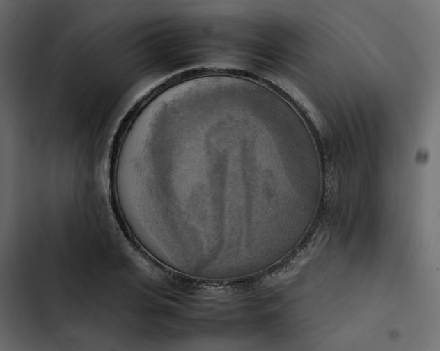 X0000102860935200809021421