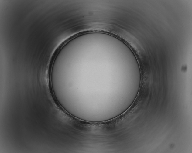 X0000102860936200809021421