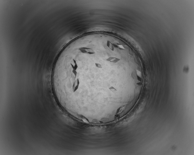 X0000102860937200809021421