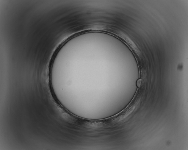 X0000102860939200809021421