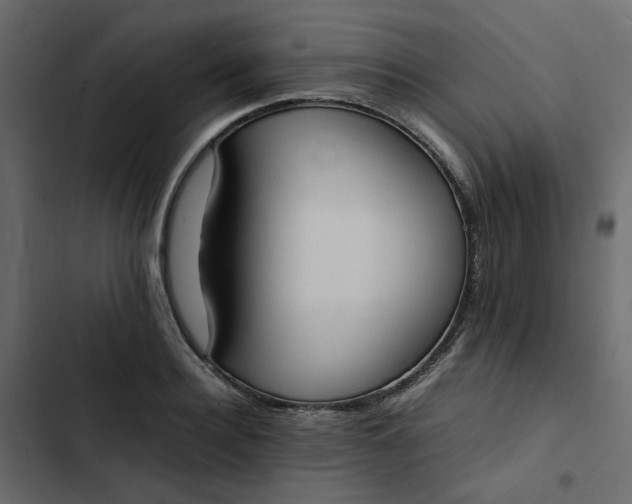 X0000102860940200809021421