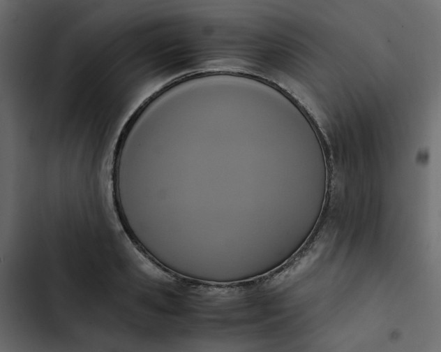 X0000102860941200809021421