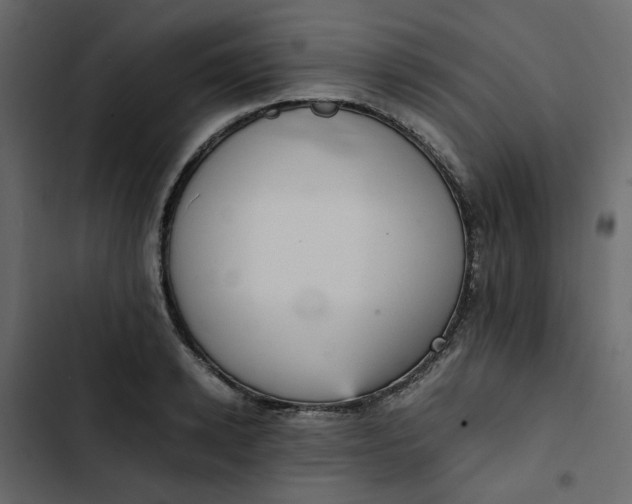 X0000102860942200809021421