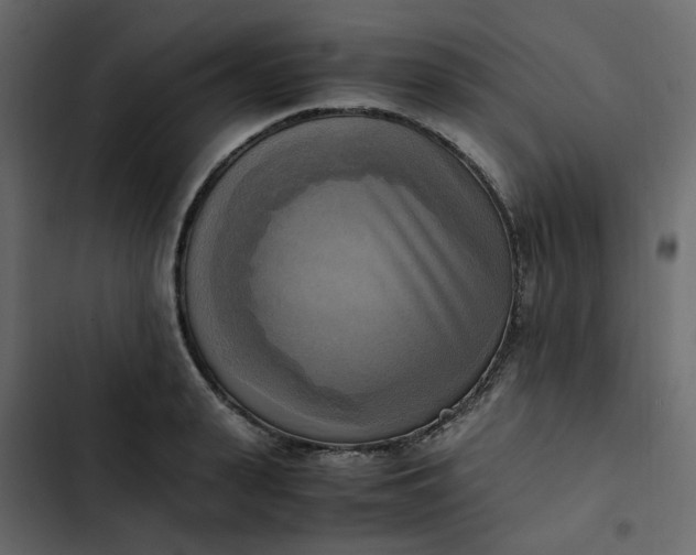 X0000102860943200809021421