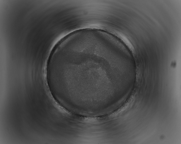 X0000102860944200809021421