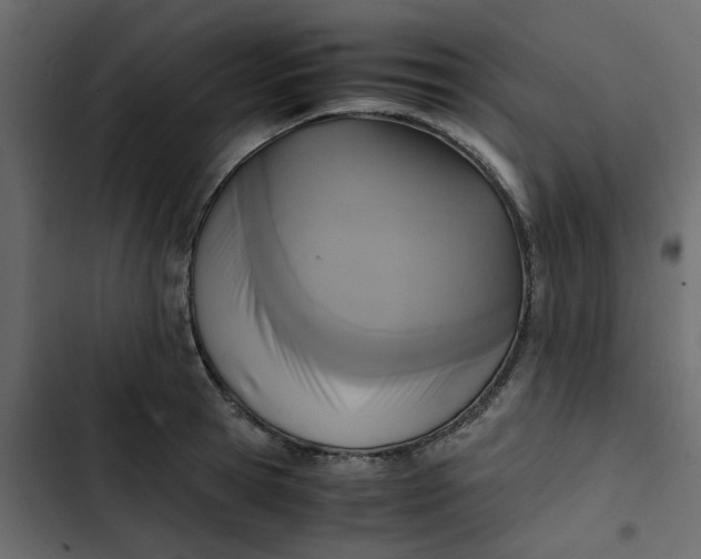 X0000102860945200809021421