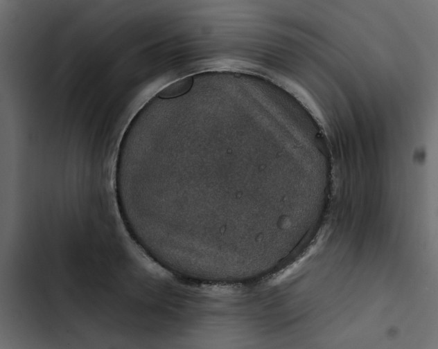 X0000102860946200809021421