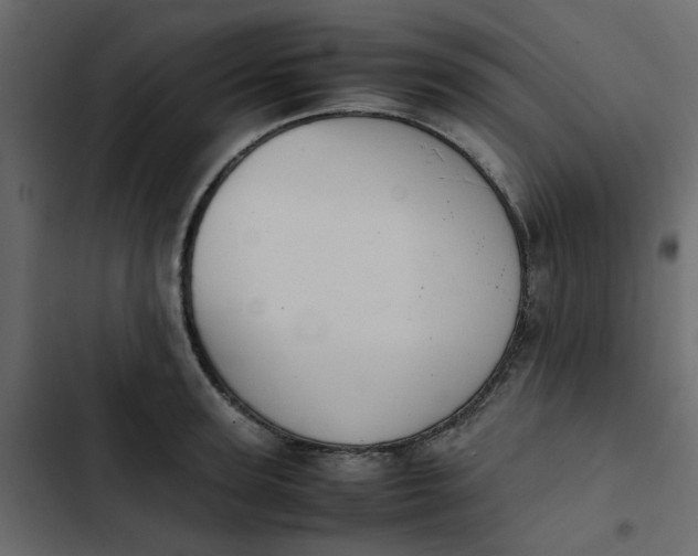 X0000102860947200809021421