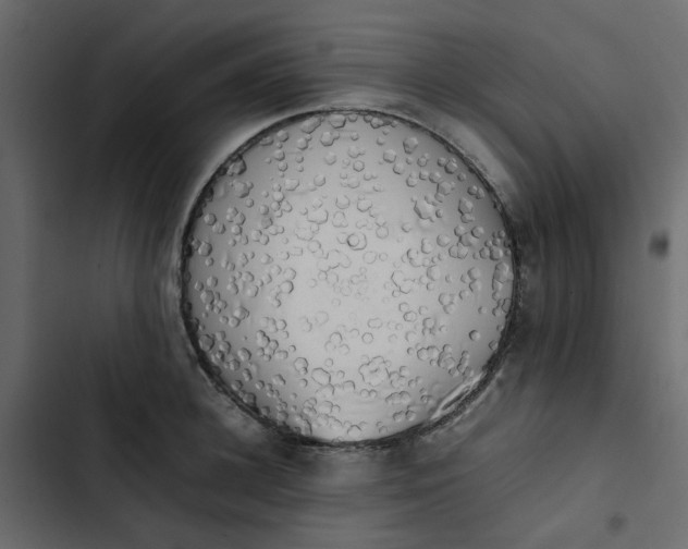 X0000102860948200809021421