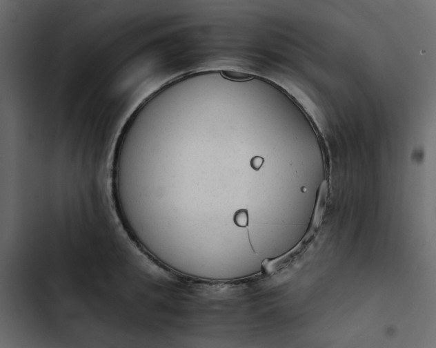 X0000102860949200809021421