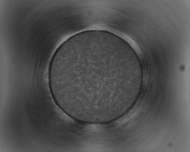 X0000102860950200809021421