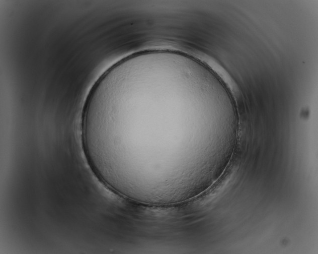 X0000102860951200809021421