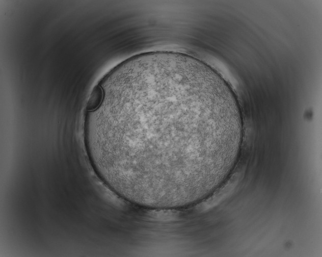 X0000102860952200809021421