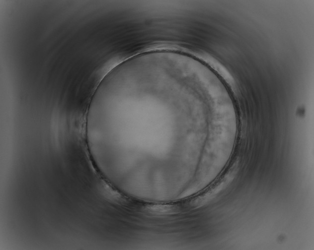 X0000102860953200809021421