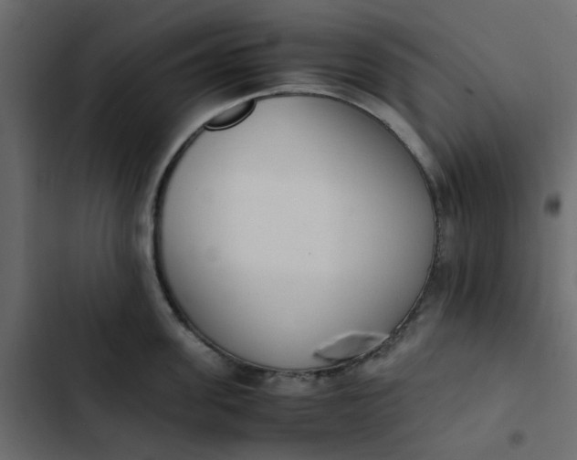 X0000102860955200809021421