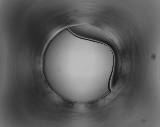 X0000102860956200809021421