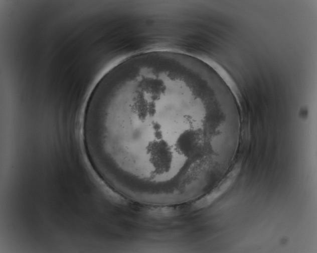 X0000102860957200809021421