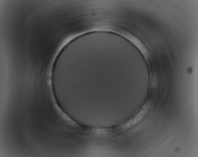 X0000102860958200809021421