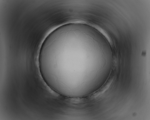 X0000102860959200809021421